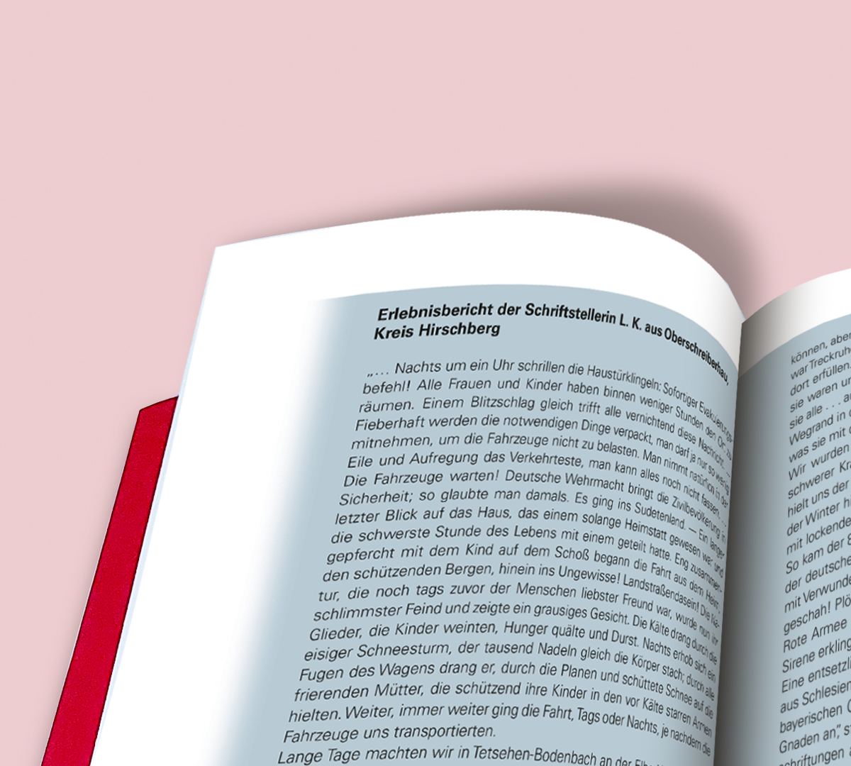 Buchdesign